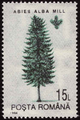 Briefmarke: Weiß-Tanne, Rumänien, 1994