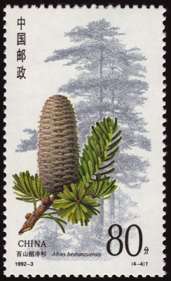 Briefmarke: Baishanzu-Tanne, China, 1992