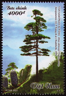 Briefmarke: Fansipan Fir, Vietnam, 2023