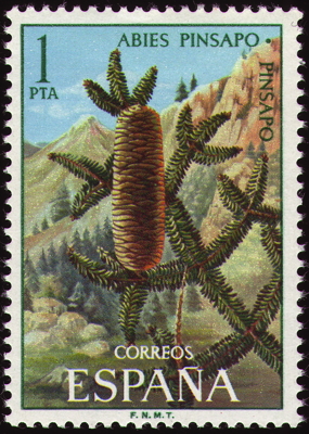 Briefmarke: Spanische Tanne, Spanien, 1972