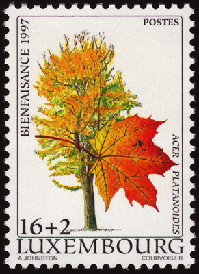 Spitz-Ahorn auf Briefmarke, Luxembourg, 1997 