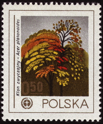 Spitz-Ahorn auf Briefmarke, Polen, 1978