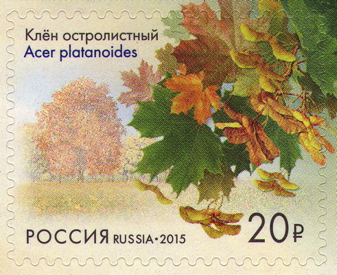 Spitz-Ahorn auf Briefmarke, Russland, 2015