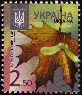 Spitz-Ahorn auf Briefmarke, Ukraine, 2012 