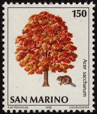 Briefmarke: Zucker-Ahorn, San Marino, 1979