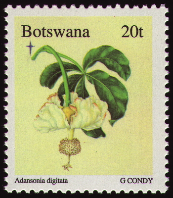Briefmarke: Afrikanischer Affenbrotbaum, Botswana, 1996