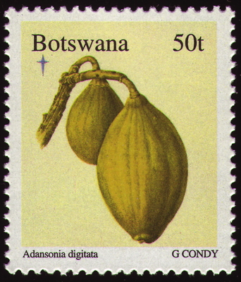 Briefmarke: Afrikanischer Affenbrotbaum, Botswana, 1996