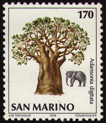 Briefmarke: Afrikanischer Affenbrotbaum (Baobab), San Marino, 1979