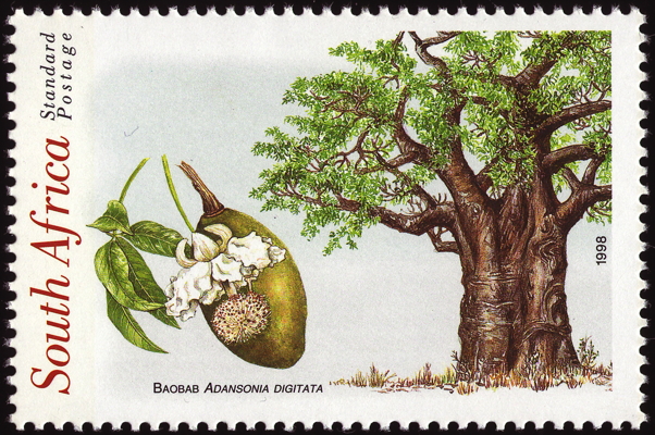 Briefmarke: Afrikanischer Affenbrotbaum (Baobab), Südafrika, 1998
