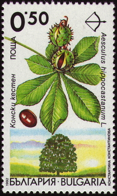 Gemeine Roßkastanie auf Briefmarke, Bulgarien, 1992