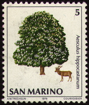 Gemeine Roßkastanie auf Briefmarke, San Marino, 1979 