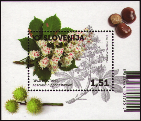 Gemeine Roßkastanie auf Briefmarke, Slowenien, 2022