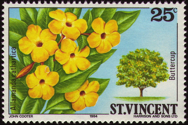 Briefmarke: Goldtrompete, Saint Vincent, 1984