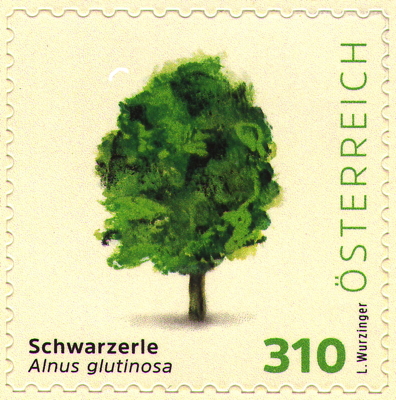 Schwarz-Erle auf Briefmarke, Österreich, 2025 