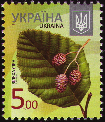 Briefmarke: Grau-Erle, Ukraine, 2012
