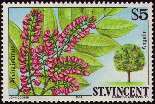 Briefmarke: Cabbage Bark, Saint Vincent, 1984