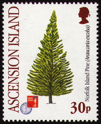 Briefmarke: Säulen-Araukarie, Ascension, 1997