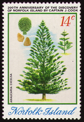 Briefmarke: Säulen-Araukarie, Norfolkinsel, 1974
