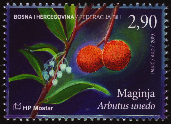 Westlicher Erdbeerbaum auf Briefmarke, Bosnien-Herzegowina, Adm. Kroatien 2019