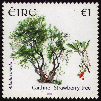Briefmarke: Westlicher Erdbeerbaum, Irland, 2006