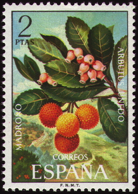 Westlicher Erdbeerbaum auf Briefmarke, Soanien, 1972