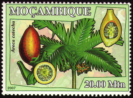 Briefmarke: Betelnusspalme, Mosambik, 2007