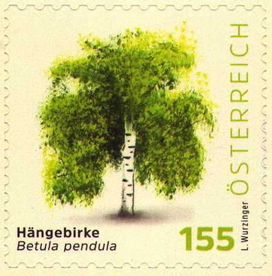 Hänge-Birke auf Briefmarke, Österreich, 2025