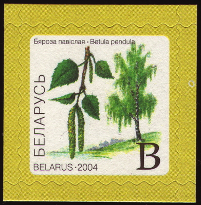 Hänge-Birke auf Briefmarke, Weißrussland, 2004