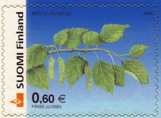 Hänge-Birke auf Briefmarke, Finnland, 2002