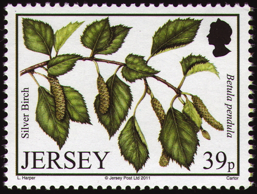 Briefmarke: Hänge-Birke, Jersey, 2011