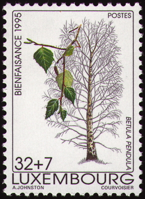 Briefmarke: Hänge-Birke, Luxembourg, 1995