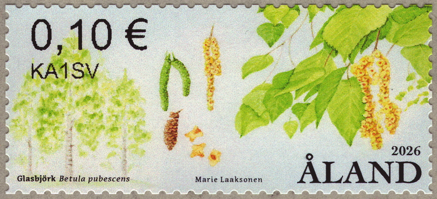 Briefmarke: Moor-Birke, Aland, 2026