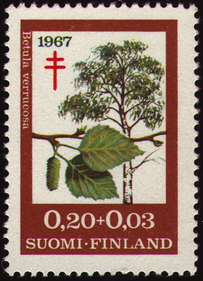 Briefmarke: Hänge-Birke, Finnland, 1967