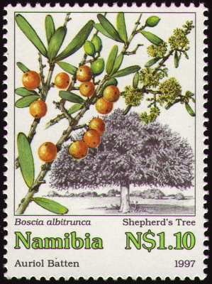 Briefmarke: Hirtenbaum, Namibia, 1997