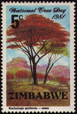Briefmarke: Bean-Pod Tree, Simbabwe, 1981