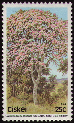Briefmarke: Kapkastanie, Südafrika, Ciskei, 1983