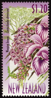Briefmarke: Ginsterbaum, Neuseeland, 1999