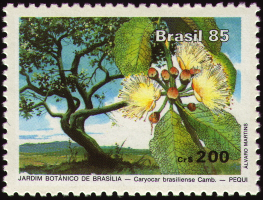 Briefmarke: Pequi-Baum, Brasilien, 1985