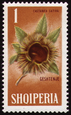 Briefmarke: Edelkastanie, Albanien, 1965