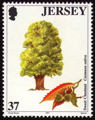 Edelkastanie auf Briefmarke, Jersey, 1997