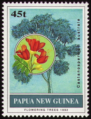 Briefmarke: Australische Kastanie, Papua-Neuguinea, 1992