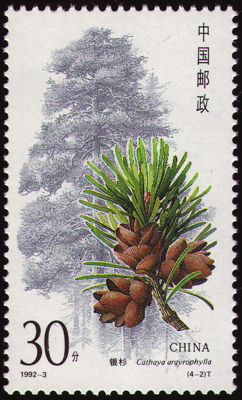 Briefmarke: Taubenbaum, China, 1992