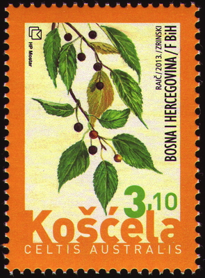 Briefmarke: Südlicher Zürgelbaum, Blätter u. Früchte, Bosnien-Herzegowina, 2013