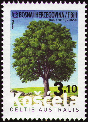 Briefmarke: Südlicher Zürgelbaum, Baum, Bosnien-Herzegowina, 2013