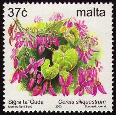 Judasbaum auf Briefmarke, Malte, 2003