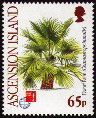 Briefmarke: Zwerg-Palme, Ascension, 1997