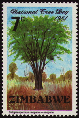 Briefmarke: Mopane, Simbabwe, 1981