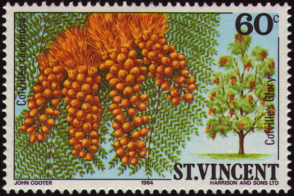 Briefmarke: Scharlachfederbaum, Saint Vincent, 1984