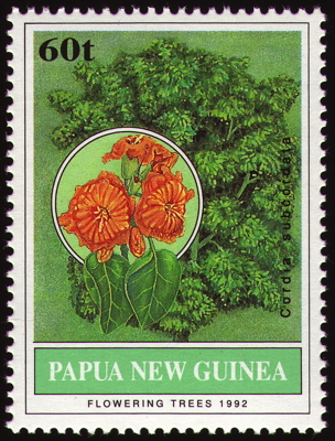 Briefmarke: Seetrompete, Papua-Neuguinea, 1992