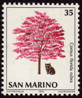 Briefmarke: Blumen-Hartriegel, San Marino, 1979